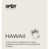 Home Spray LH 500ml Ambar Hawaii Spot Essence